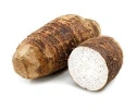 Fresh Whole Brown Cocoyam Tubers