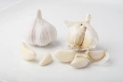 Fresh Whole White Garlic Bulbs