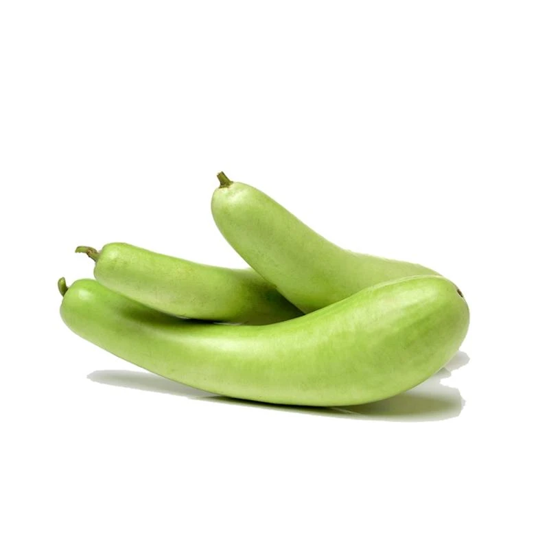 Long Squash