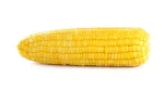Whole Dried Yellow Maize Corn