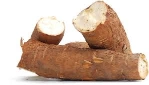 Fresh Whole Manioc (Cassava) Roots