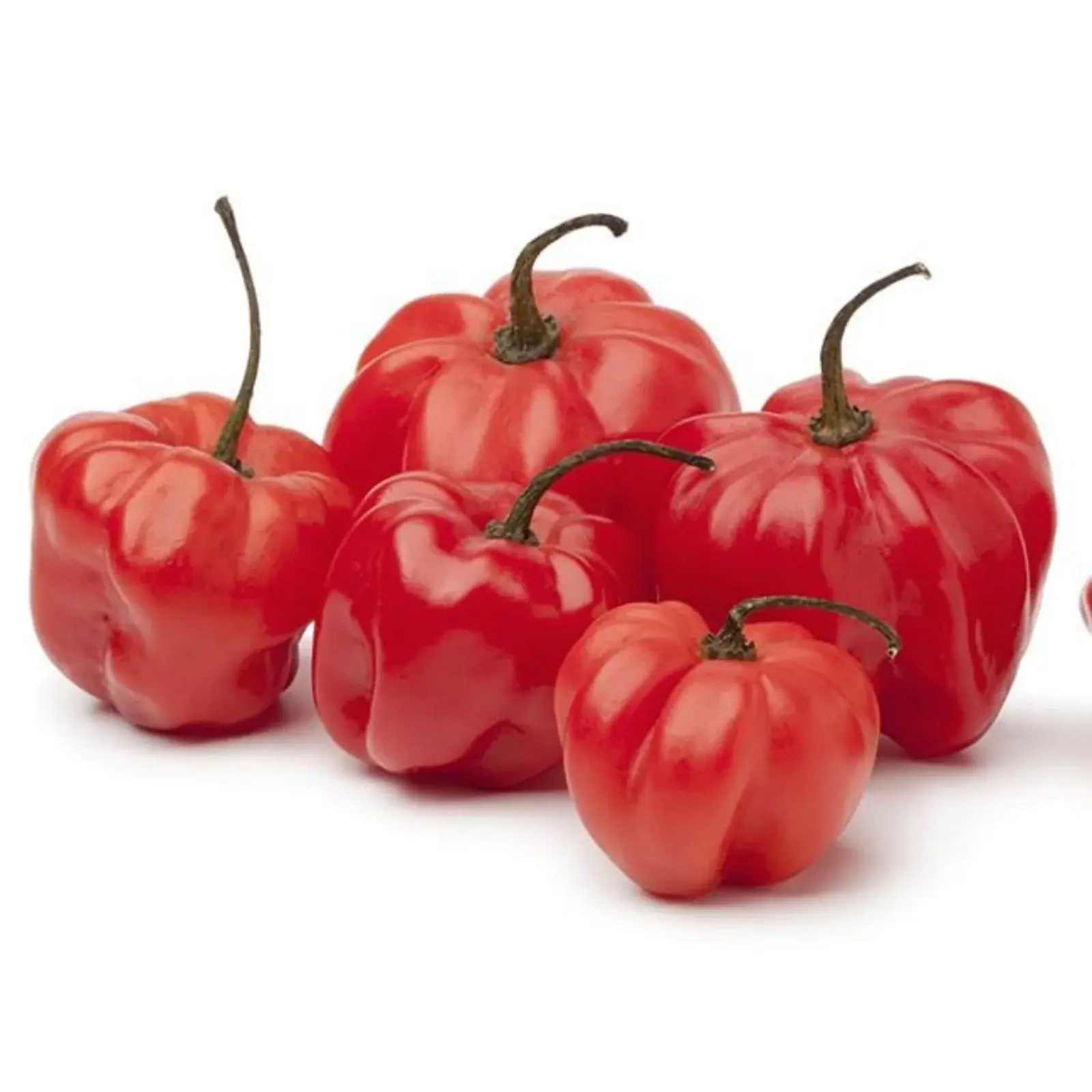 Scotch Bonnet Pepper (Per LB)