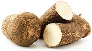 Fresh Yam (Each)