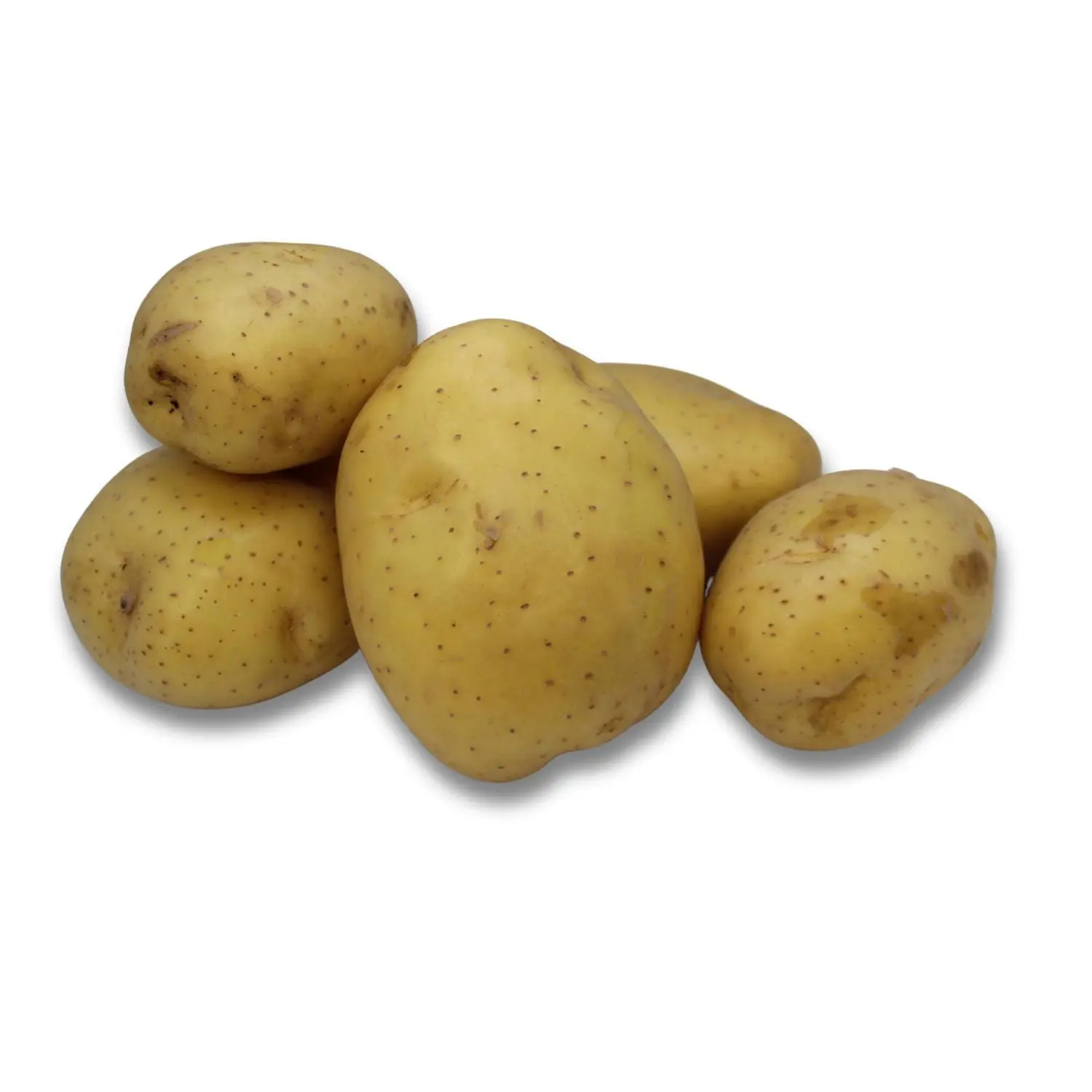 Yellow Potato