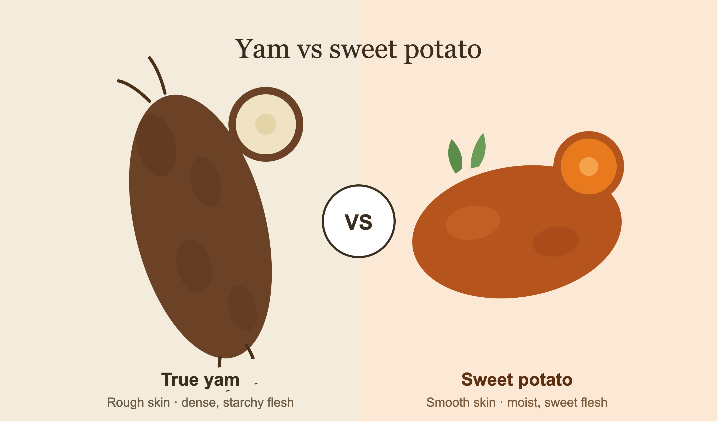What is the Real Difference Between Yam and Sweet Potato?