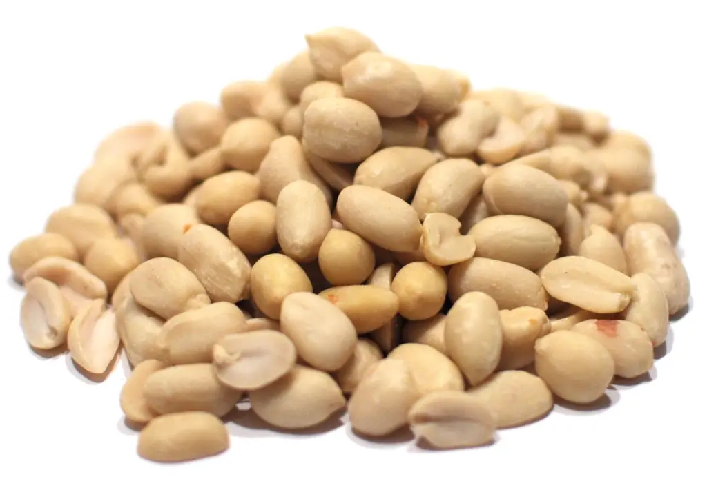Groundnut