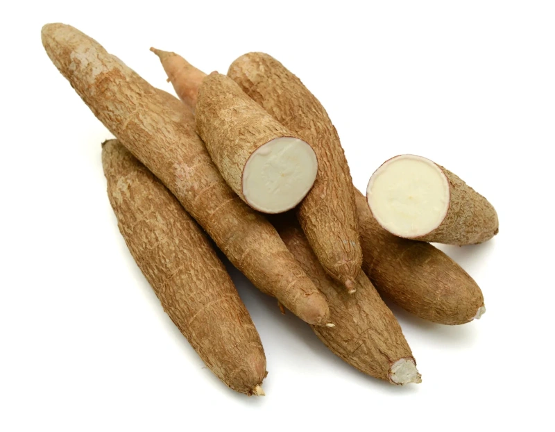 Fresh Cassava Tubercule (Cassava Tubers)